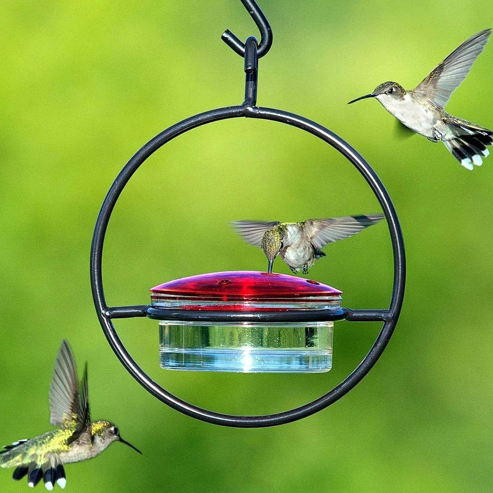 1- Hanging Hummingbird Feeder Red Glass Bowl Tray Garden Decoration