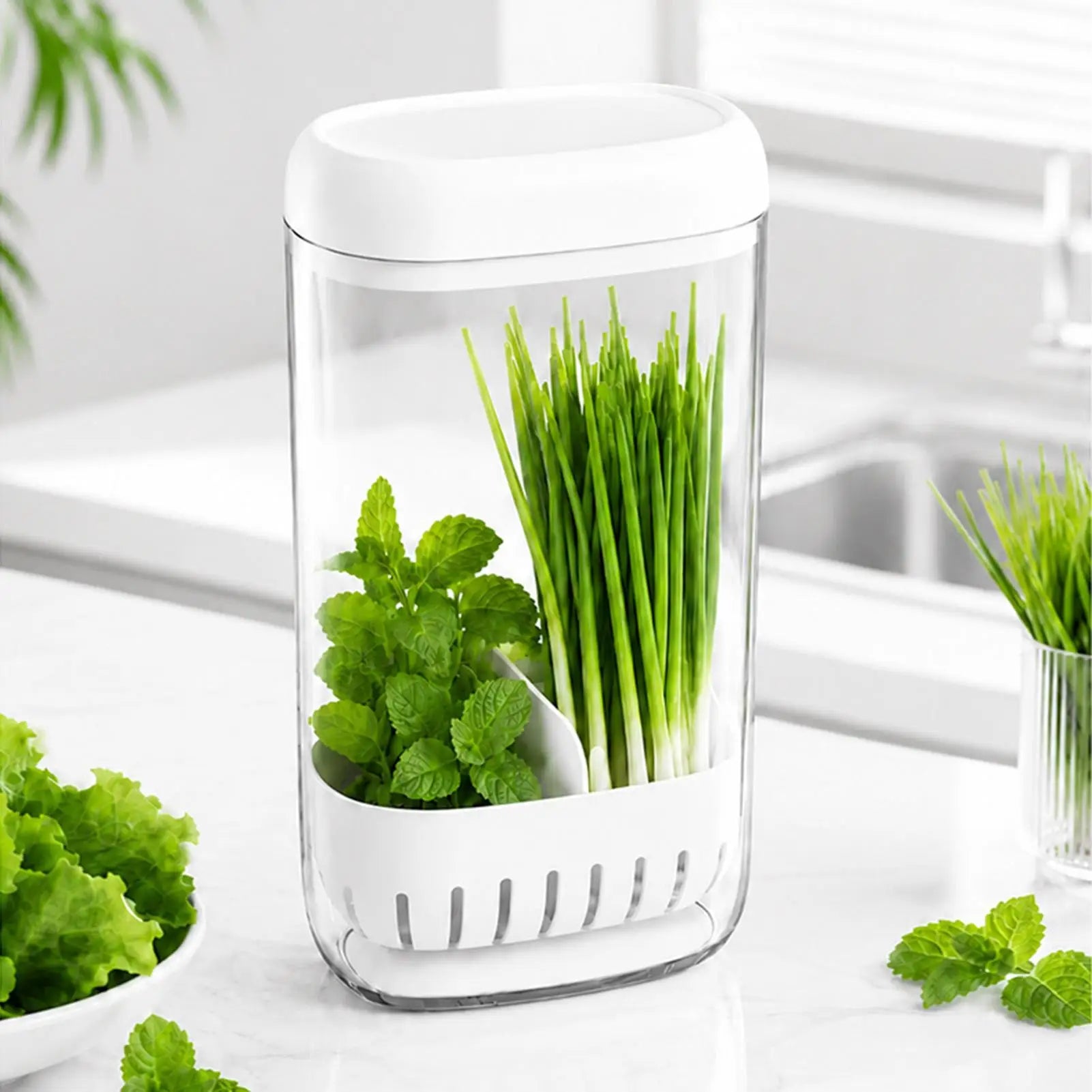 Cilantro Keeper Drainage Lid Removable Divider Kitchen Produce Saver