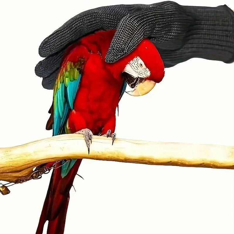 Bird Training Anti-bite Gloves Small Animal Handling Wire Chewing
