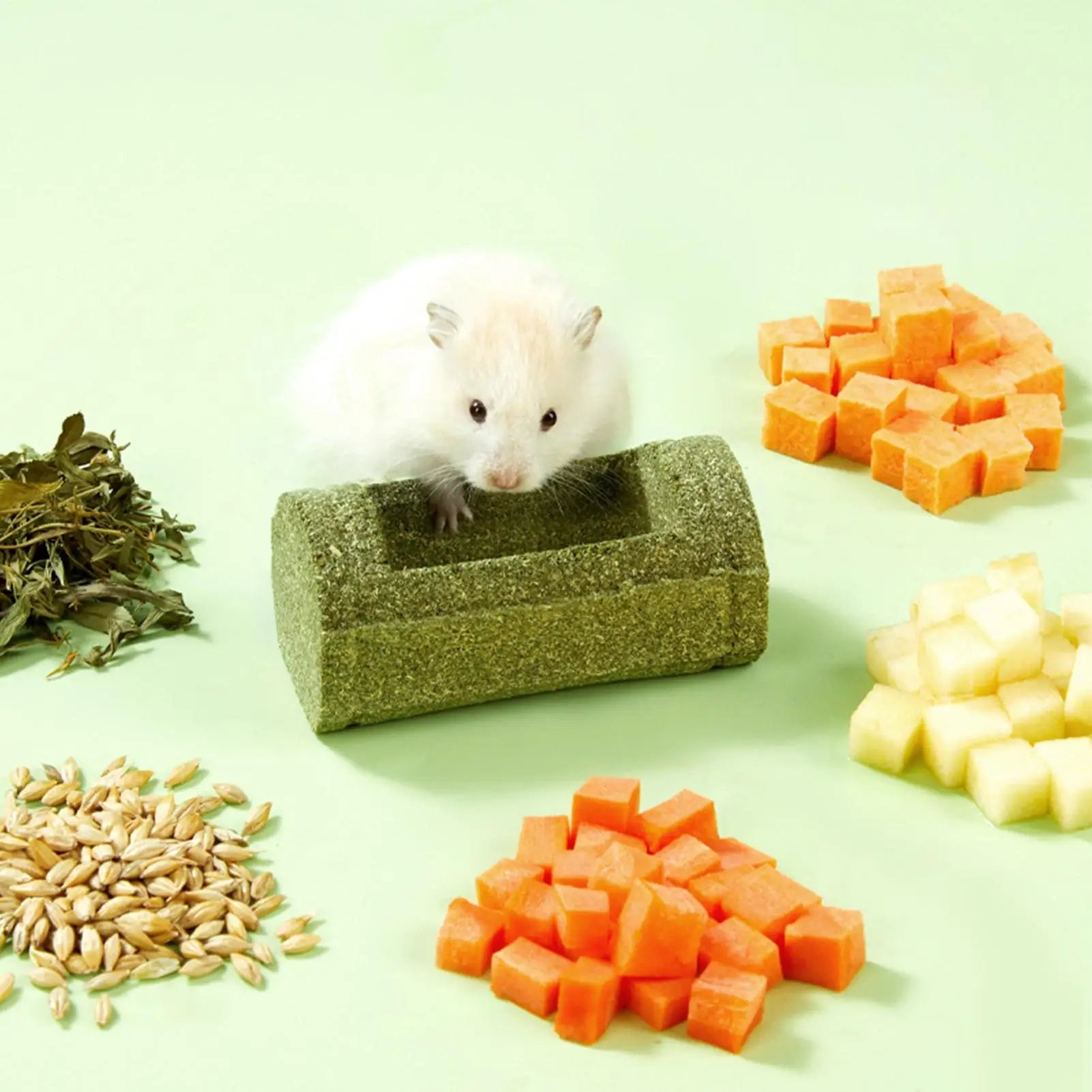 Hamster Chew Toys Teeth Pet Feeding Bowl Natural Chinchilla