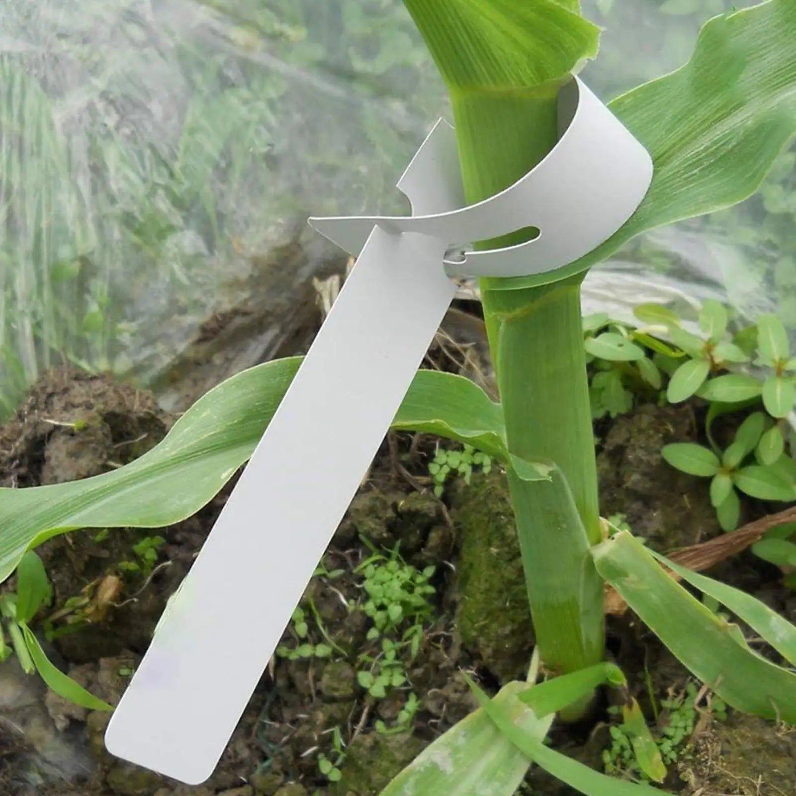 100Pcs Waterproof Plant Labels – Hanging Ring Marker Tags Plant Marker Tags Zpaxo
