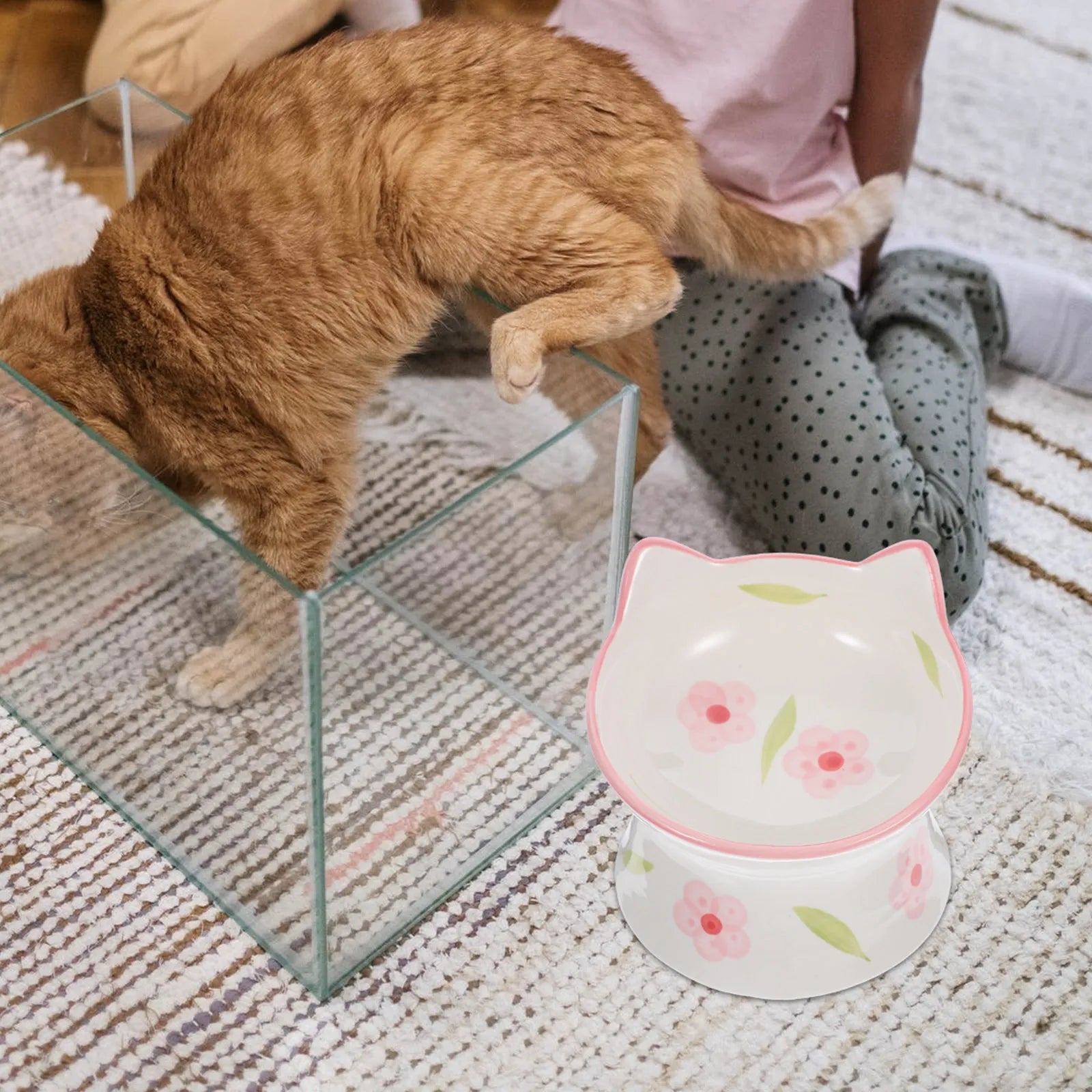 Elevated Cat Bowls Raised Feeding Anti-skid Stable Base Ear Design