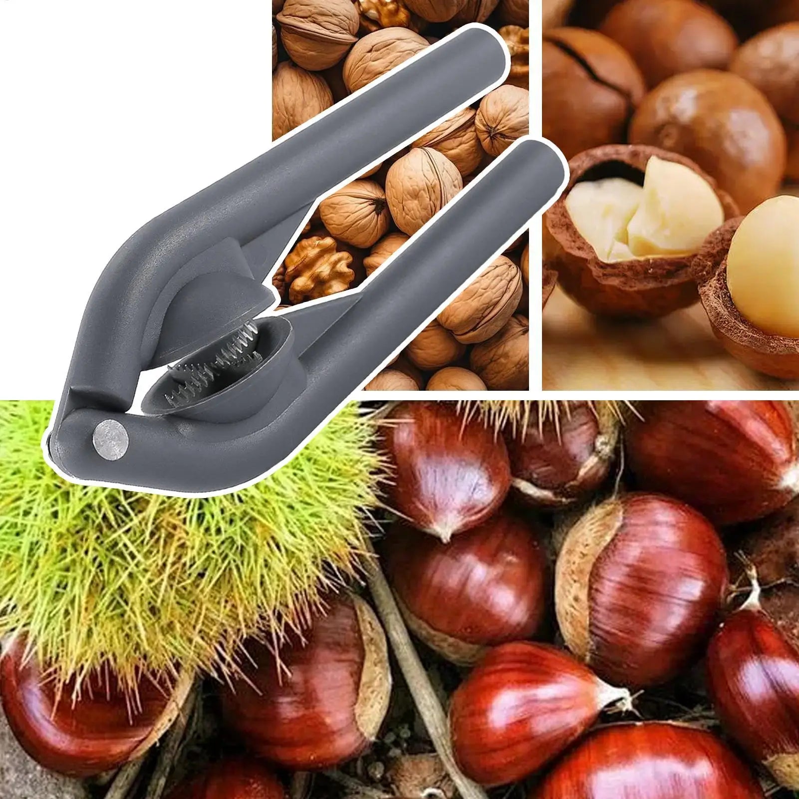 Stainless Steel Chestnut Cutter Tool Nut Peeling Sheller Kitchen