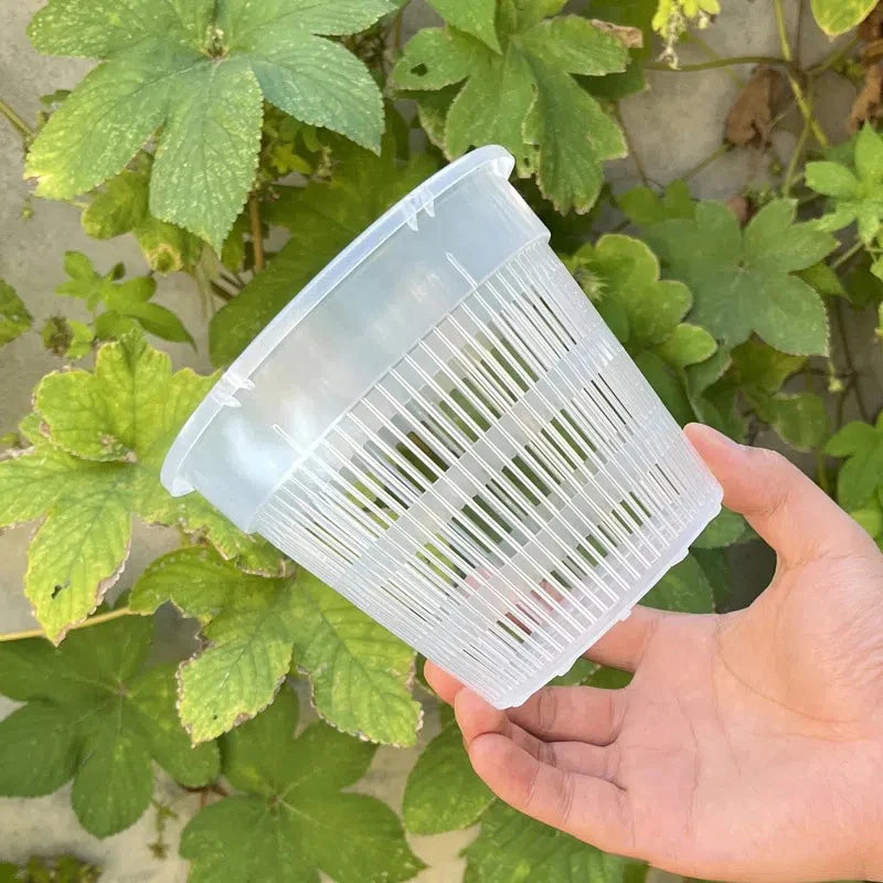 For Orchid Flower Breathable Growth Container Garden Plastic Flower Pot 11/14cm Mesh Pot Root Control Transparent Flowerpot Zpaxo