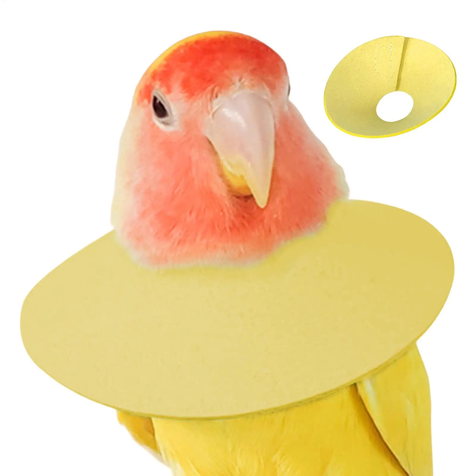 Parrot Anti-Bite Recovery Collar – Elizabethan Bird Neck Cone Bird Recovery Collar Zpaxo
