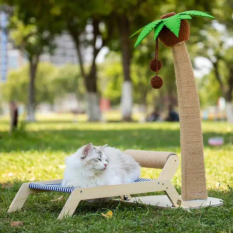 New Cat Beach Chair Summer All Seasons Elevated Cat Bed With Sisal Scratcher For Cat Outdoor Indoor Beach Chair Zpaxo