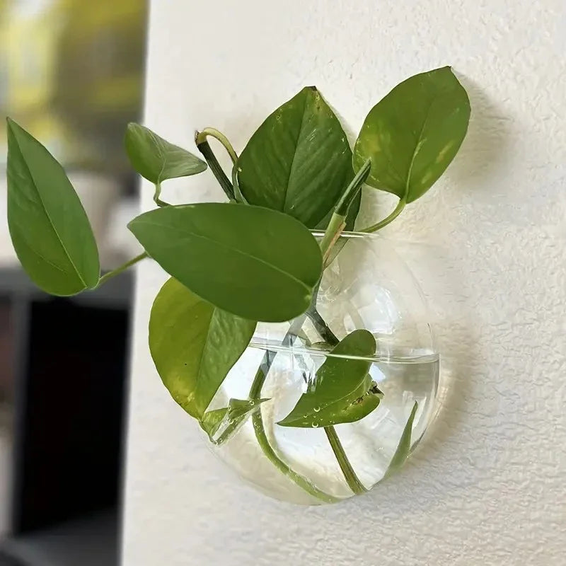 Glass Wall-mounted Plant Greenhouse Propagation Station Vase Air Home