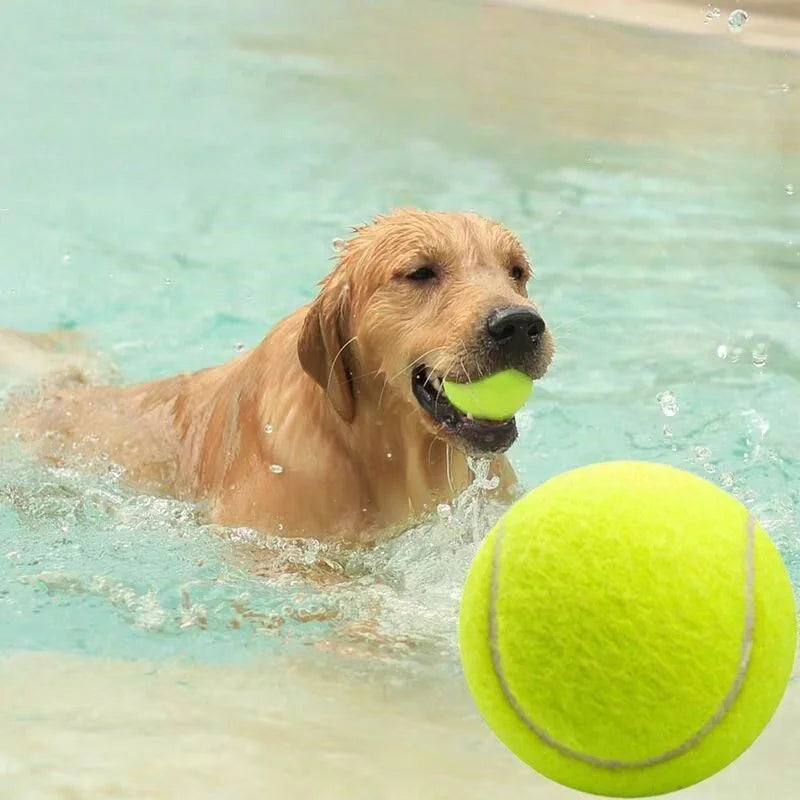 Tennis Ball Large Dog Pet Balls Dogs Outdoor Indoor Sports Training