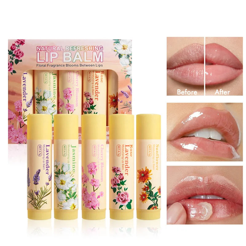 5-piece Lipstick Moisturizing Waterproof Durable Luster Autumn Winter
