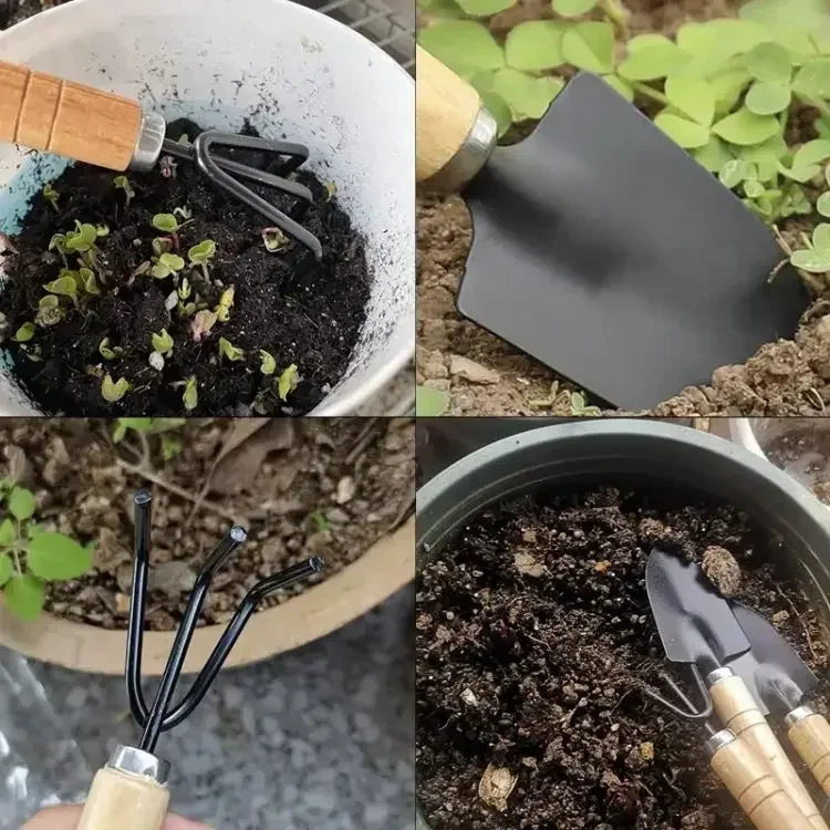 3-Piece Mini Garden Tool Set – Stainless Steel Indoor Kit