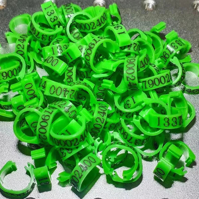 Personalized Inner Plastic Pigeon Dove Bands Rings Custom Laser