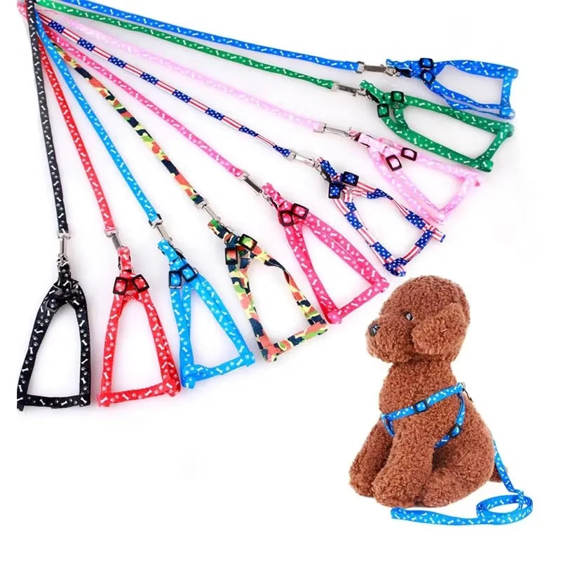 Small Dog Leash Puppy Leashes Teddy Pet Harness Cute Lead Rope Cat