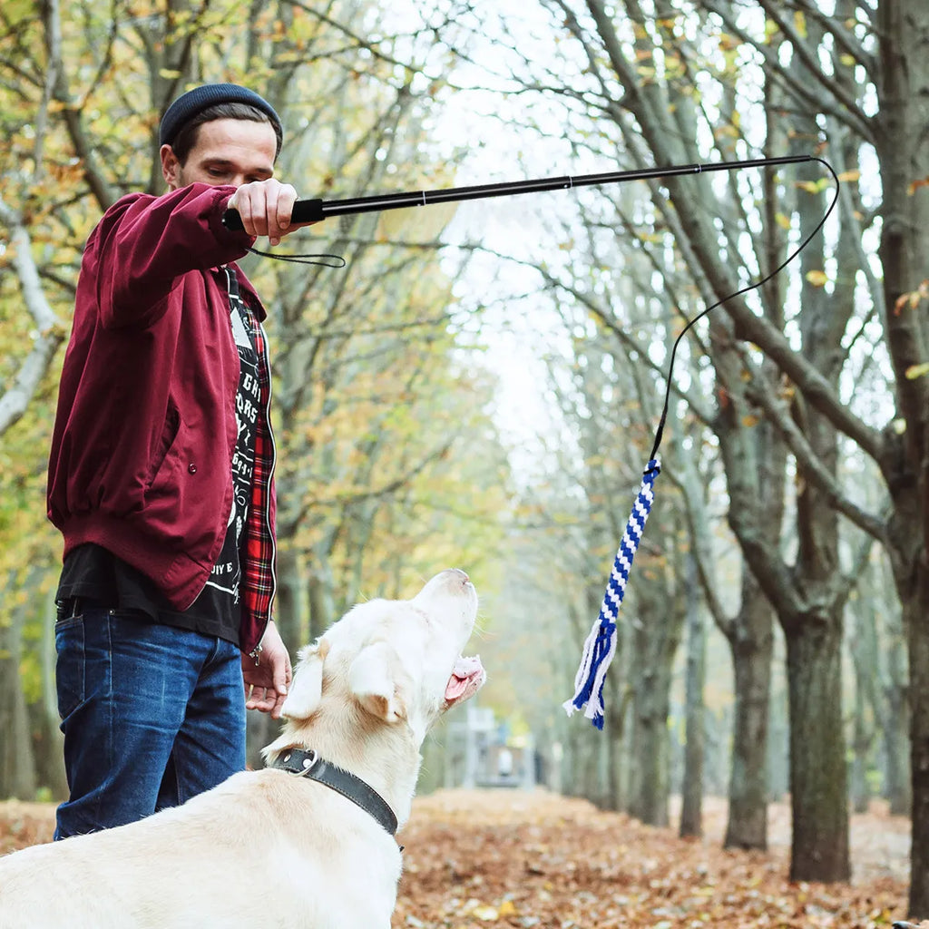 Retractable Dog Interactive Stick L Black Telescoping Flirt Pole