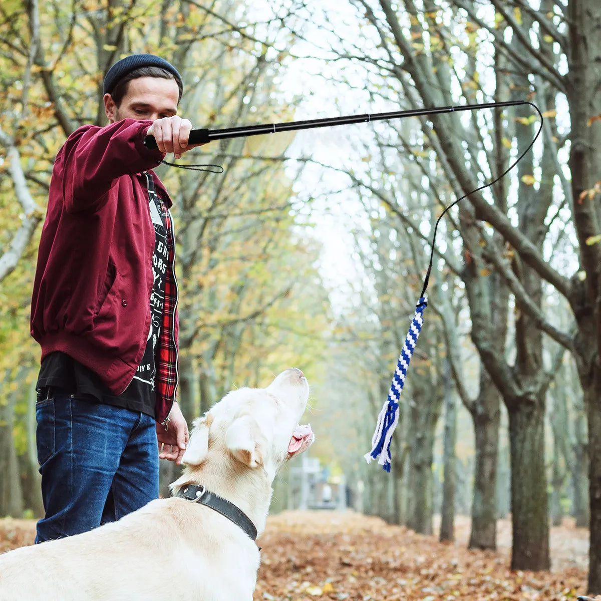 Retractable Dog Interactive Stick L Black Telescoping Flirt Pole