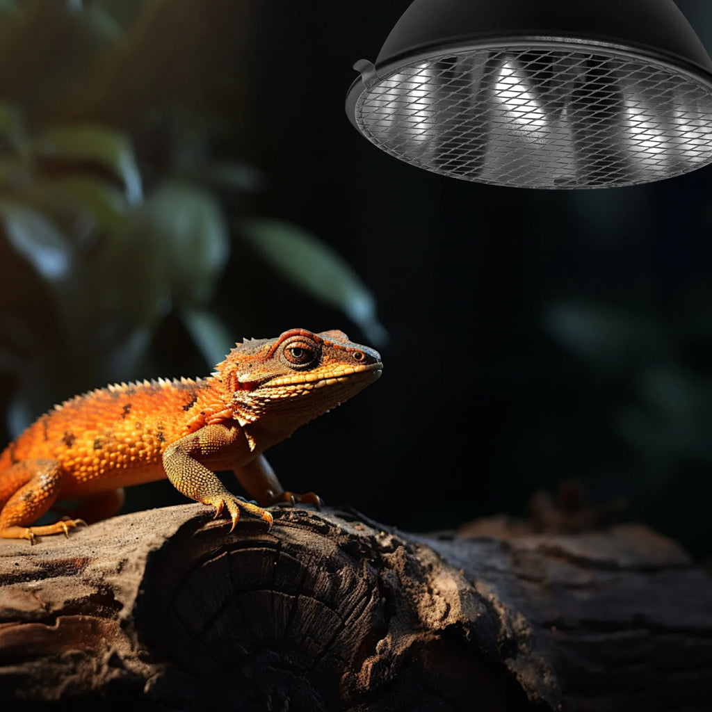 Reptile Heat Lamp Guard Mesh Cover Metal Cage Protector Anti-scald