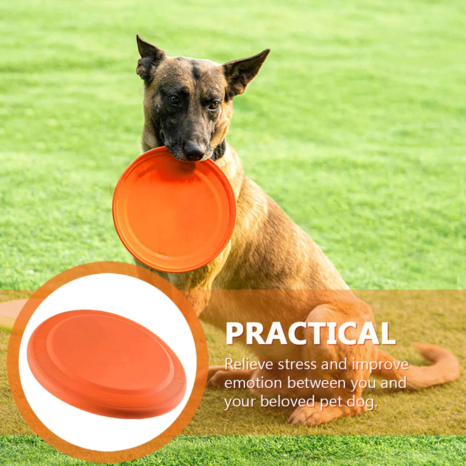 Wear-resistant Dog Disc Interactive Portable Multi-function Flying
