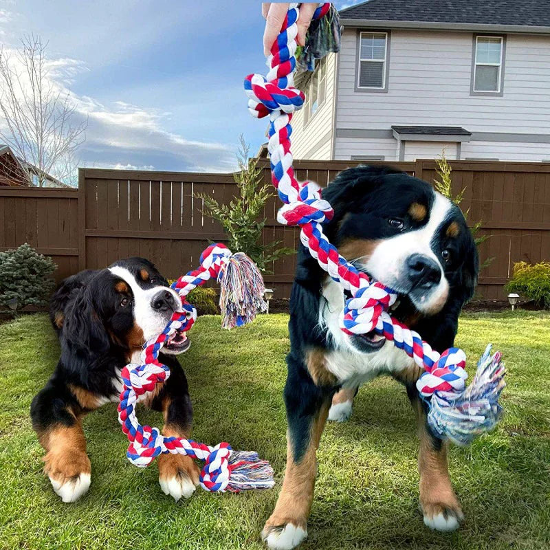 Heavy-duty Dog Rope Toy Teeth Cleaning Chewing Extra Long Durable Zpaxo