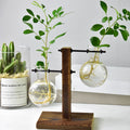 Glass Bulb Vase with Wooden Stand | Hydroponic Desktop Planter Hydroponic Glass Vase Zpaxo Style 3