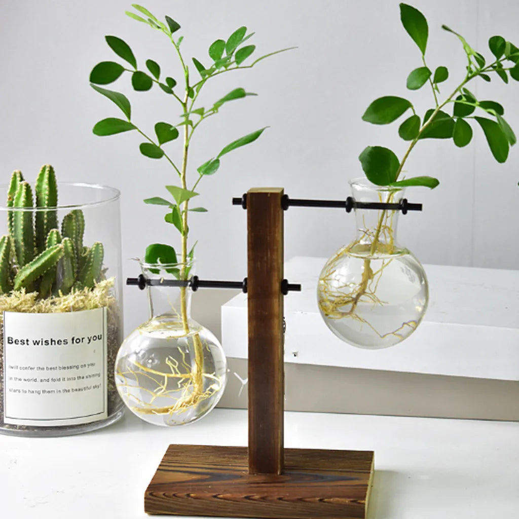 Glass Bulb Vase with Wooden Stand | Hydroponic Desktop Planter Hydroponic Glass Vase Zpaxo Style 3
