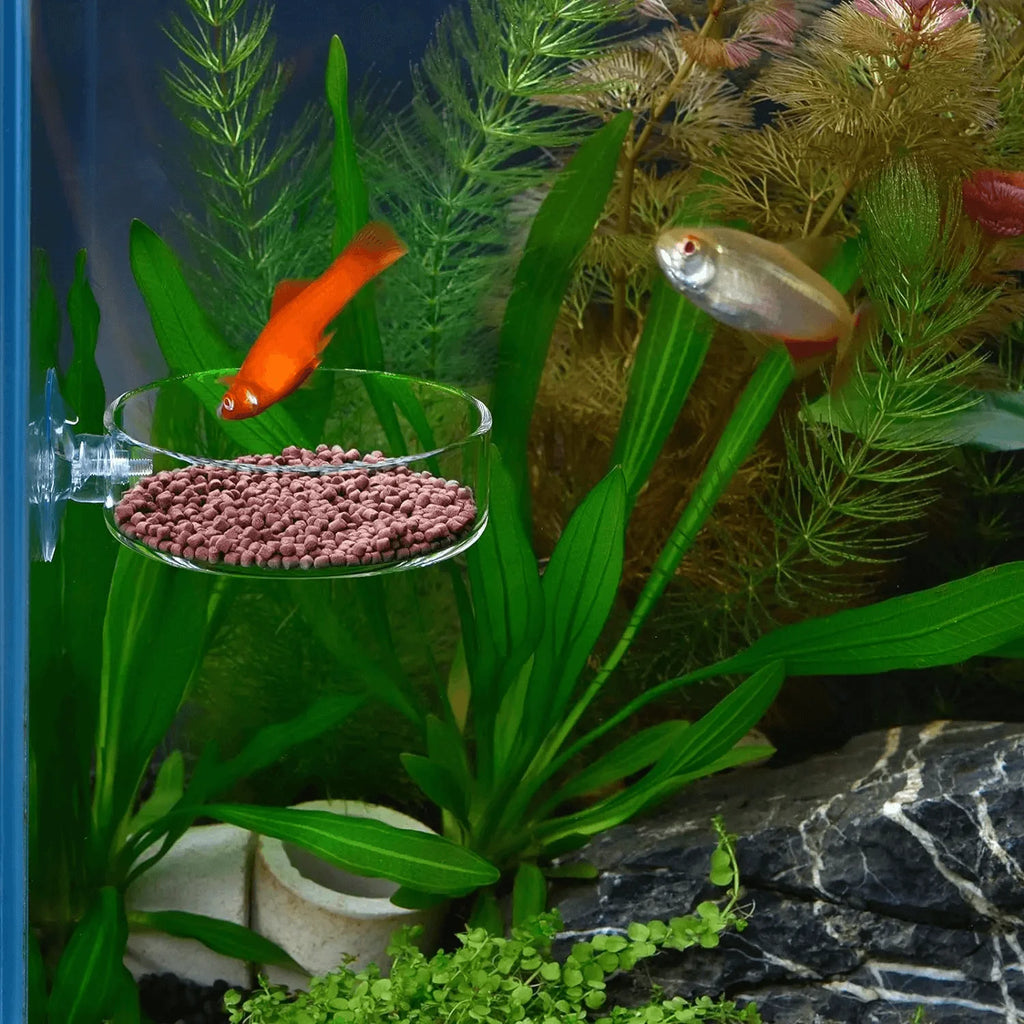 Fish Tank Feeder Aquarium Shrimp Acrylic Feeding Bowl Clear Dish Tray