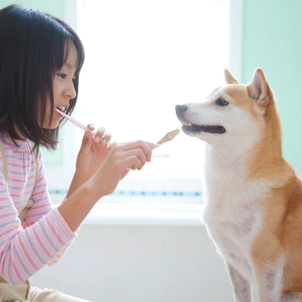 2Pcs Pet Toothbrush Double-Head Bamboo Handle Non-Slip Comfortable Dog Cat Oral Cleaning Tool Prevent Plaque Tartar Gingivitis