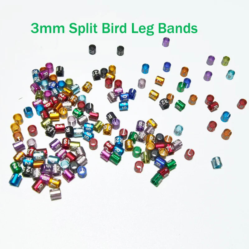 Split Bird Leg Bands Canary Rings Non-custom Random-character