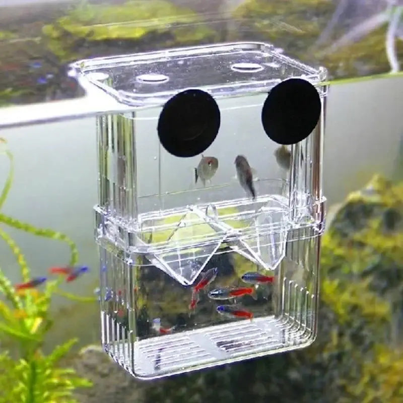 Aquarium Fish Breeder Box Durable Betta Tank Breeding Isolation