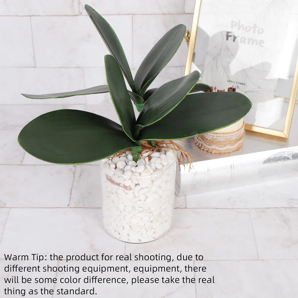 Artificial Phalaenopsis Simulation Moth Orchid Leaf Real-touch Orchid Leaves Flower Plant Home Decoration Landscaping Zpaxo