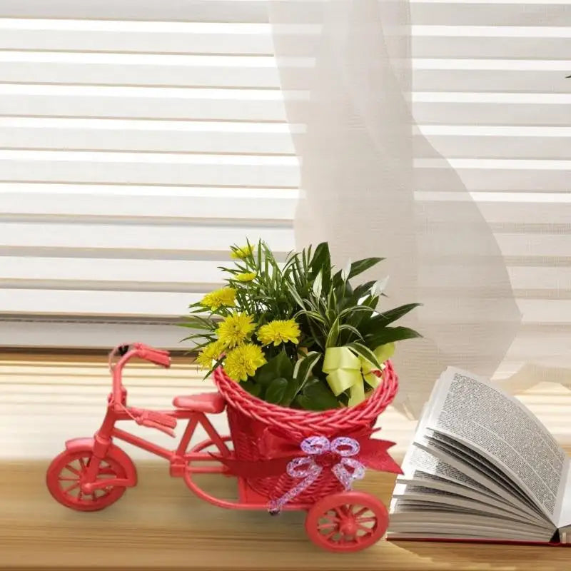 Bicycles Woven Basket Versatiles Rattans Bike Mounted Planter Indoor