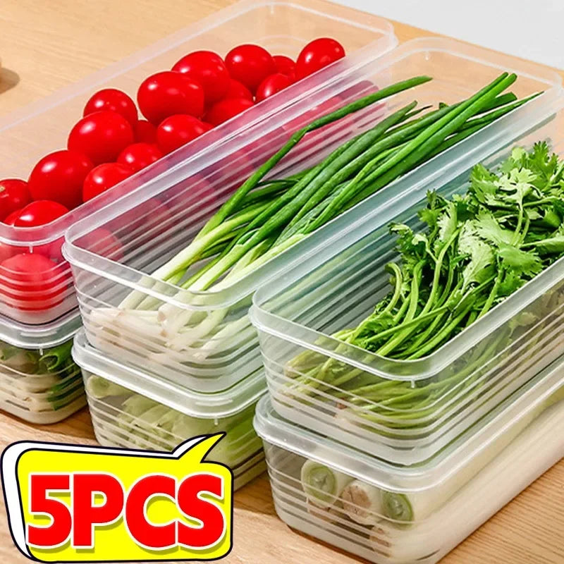 Fresh Box Fridge Herb & Scallion Storage Container with Lid