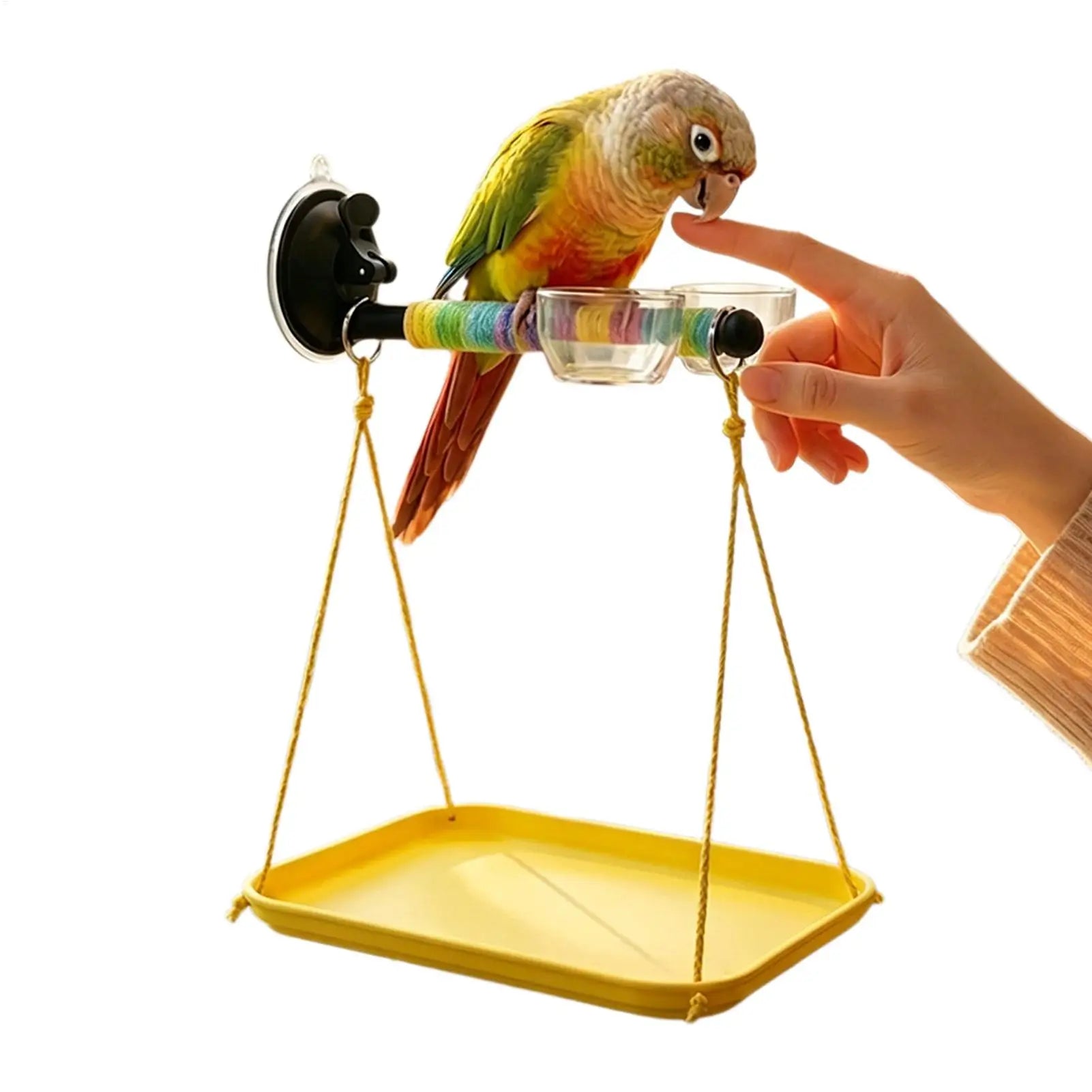 Window Perch Birds Suction Cup Interactive Toy Bird Shower Parakeet