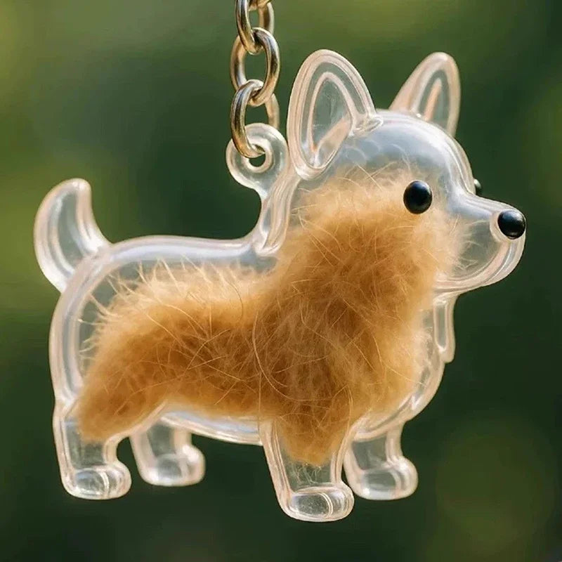 Transparent Cat Dog Hair Storage Box Pendant Keychain Collect Pets Hair Commemorate Bag Pendant Save Cat Hair Storage Capsule Zpaxo