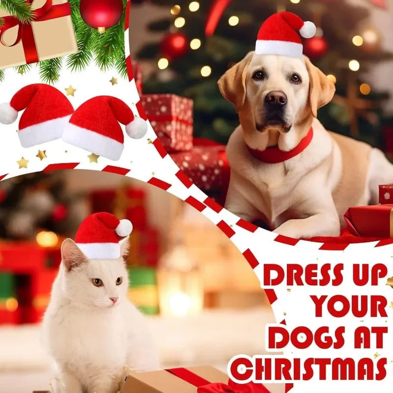 Frienda Dog Santa Hat Christmas Soft Plush Cat Pet Costumes Small