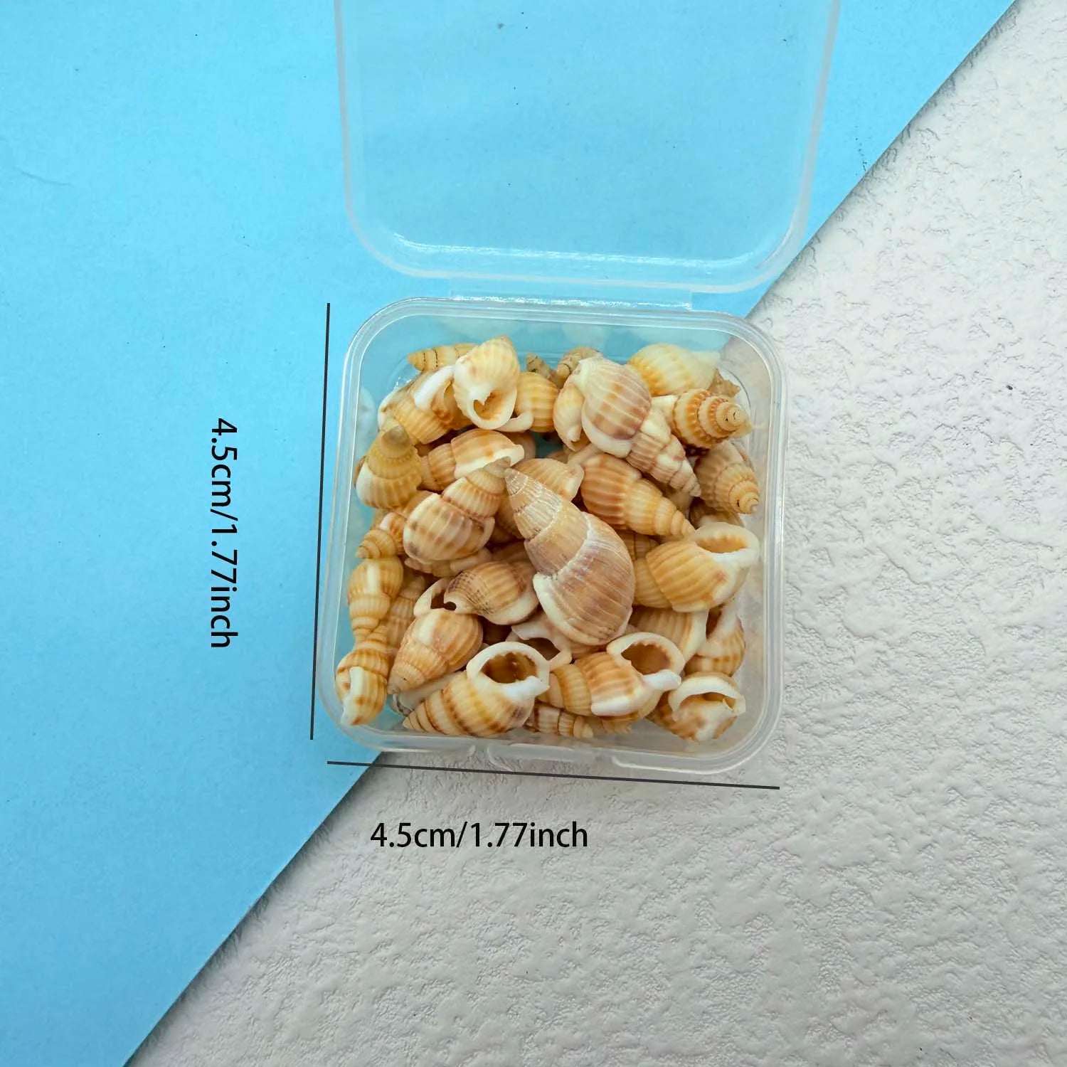 1BOX Mini Seashell Shell Pearls for Jewelry Candle Making Decoration Mini DIY Drift Bottle,Beach Wedding Home Decorations Zpaxo C
