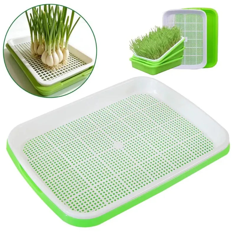Soilless Planting Seedling Tray,Seed Sprouter Germination Tray for Growing, Bean Sprouts, Cat Grass, Wheat Grass, Mung Beans Zpaxo