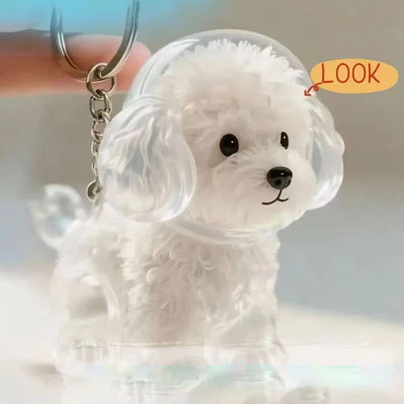 Transparent Cat Dog Hair Storage Box Pendant Keychain Collect Pets Hair Commemorate Bag Pendant Save Cat Hair Storage Capsule Zpaxo A4