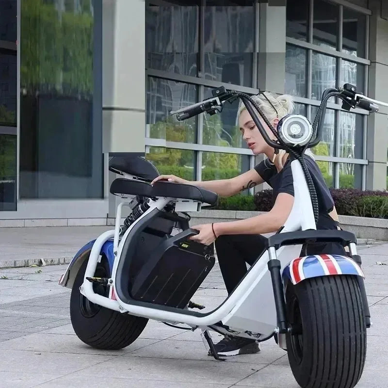 60V 20Ah-40Ah Electric Motorcycle Li-ion Battery Pack 2000W for Harley Two Wheel Foldable Citycoco Electric Scooter,Free Charger Zpaxo