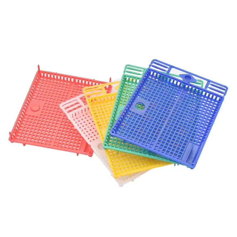 Reusable Queen Bee Isolator Introduction Cage Portable Plastic