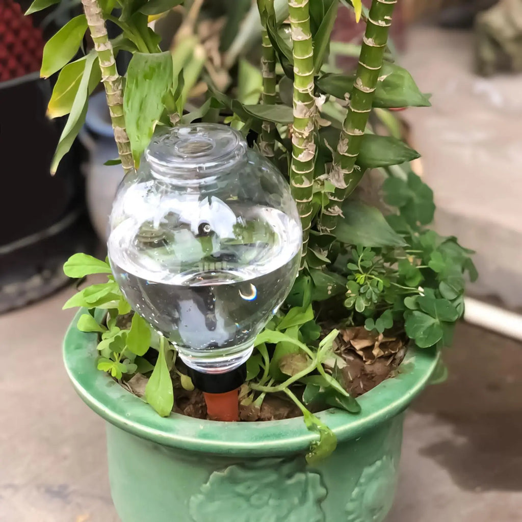 Watering Globes for Indoor Plants Slow Release Irrigation Spikes Watering Bulbs for Indoor Plants for Outdoor Potted Home Garden Zpaxo