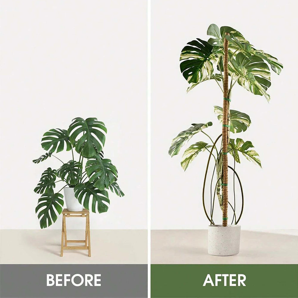 Moss Pole for Plants Monstera Plant Support Stakes for Climbing Indoor Plants Garden Trellis Plant Stick for Potted Plants Zpaxo