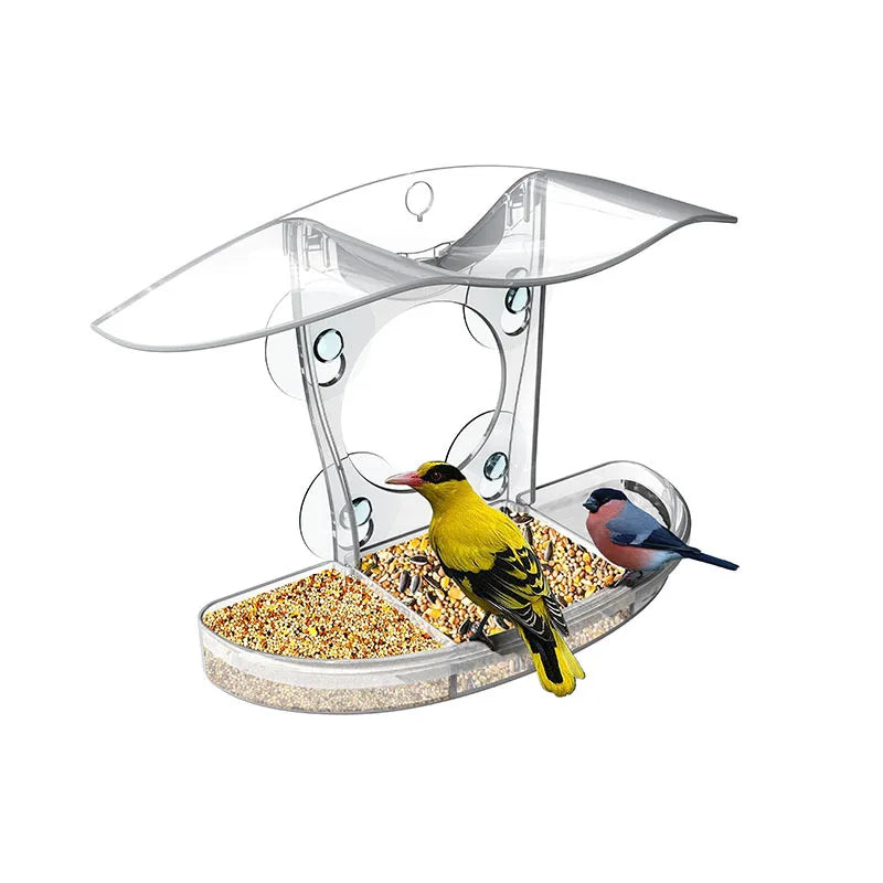 Window Bird Feeders Strong Suction Cups Outdoors Cup Feeder Wild