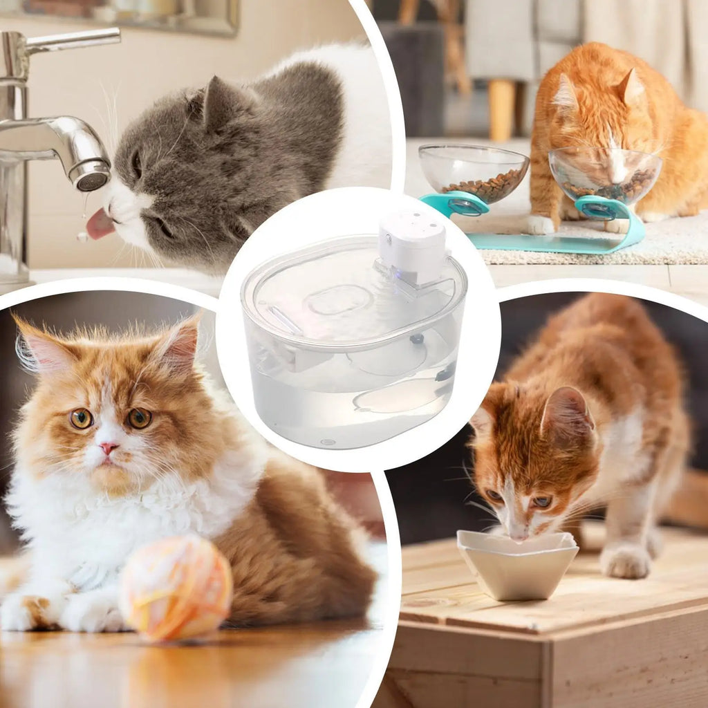 Cat Fountain Rechargeable Waterer Sensor Water Cats Drinking Tabletop
