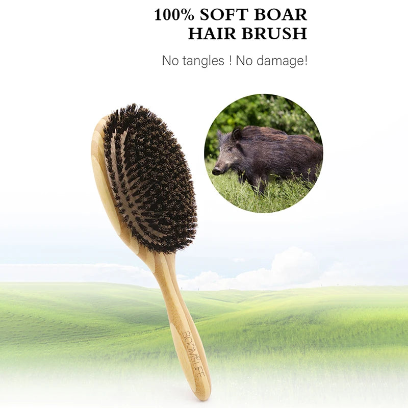 Soft Boar Bristle Bamboo Hair Brush Women Massage Scalp Wood Comb for Hair Beauty Barber Accessories Cepillo Para Cabello Zpaxo