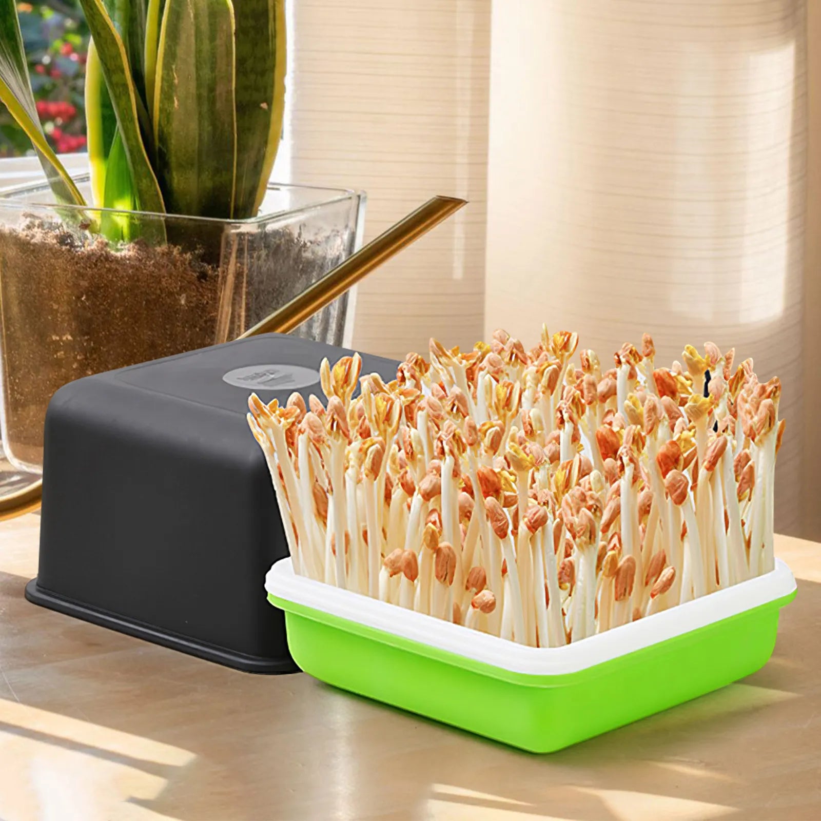 1Set Peanut Sprouter Hydroponic Nursery Pot Plastic Planting Tray High Capacity Germination Propagation Kit Home Gardening Tray Zpaxo Default Title