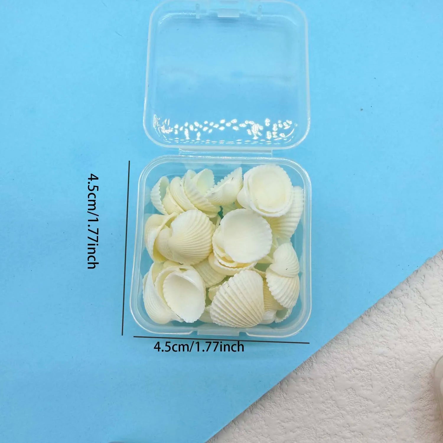 1BOX Mini Seashell Shell Pearls for Jewelry Candle Making Decoration Mini DIY Drift Bottle,Beach Wedding Home Decorations Zpaxo F
