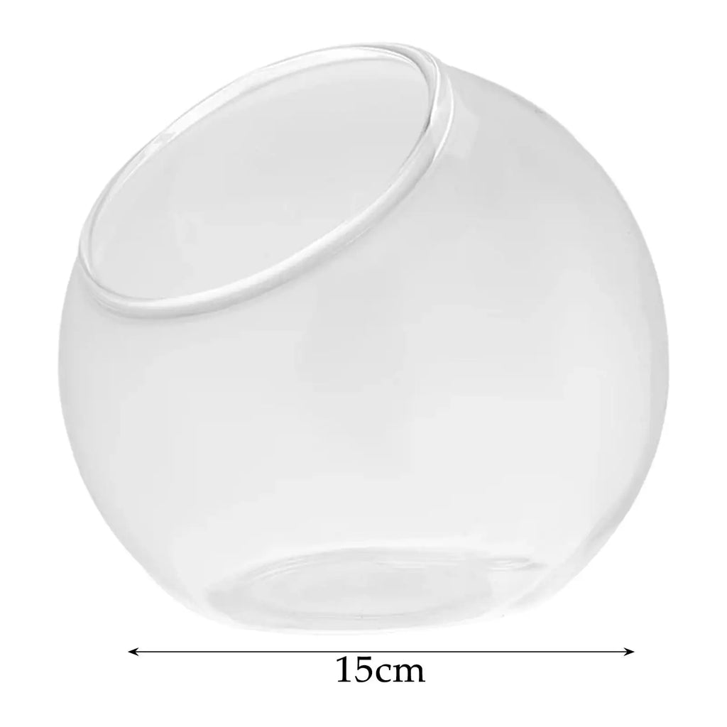 Clear Glass Slant Cut Terrarium Vase | Home & Office Decor Glass Terrarium Vase Zpaxo