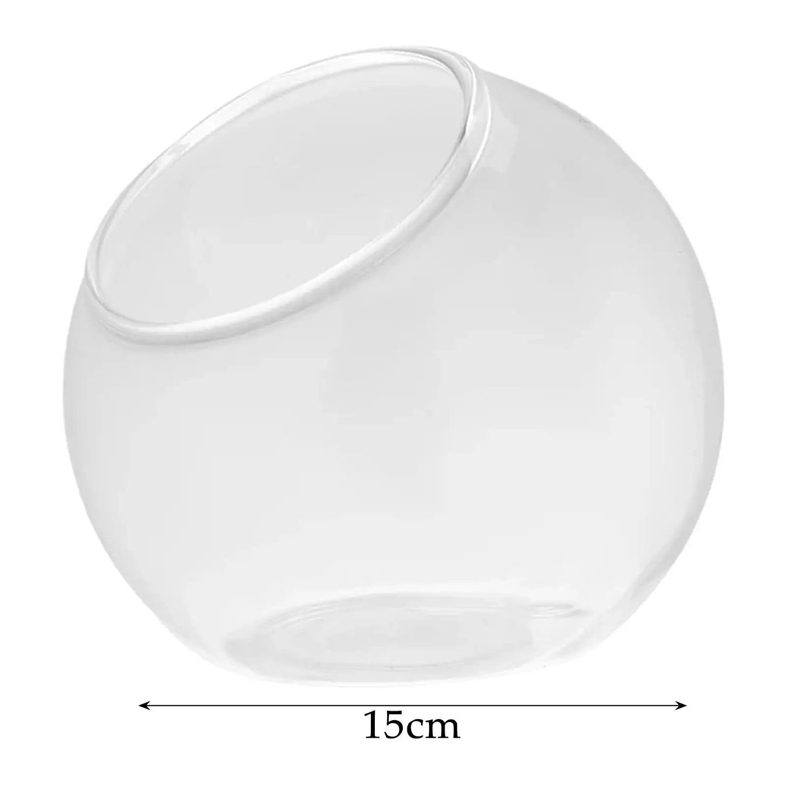 Clear Glass Slant Cut Terrarium Vase | Home & Office Decor Glass Terrarium Vase Zpaxo