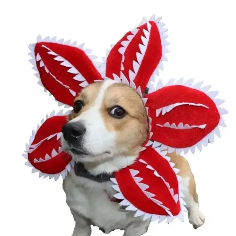Funny Cat Hat Piranha Costume Pet Accessories Dog Adjustable
