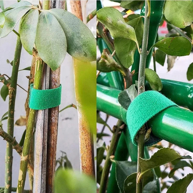 Green Nylon Garden Twine & Plant Ties – Hook Loop Cane Support