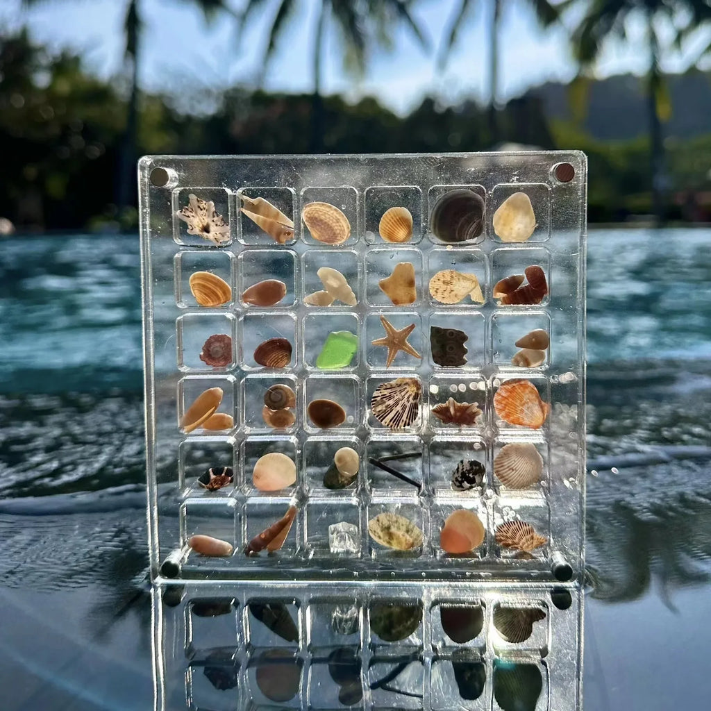 36 grids Acrylic Seashell Display Box with Magnets Durable Starfishs Trinket Storage Case for Bead Nail Jewelry Zpaxo